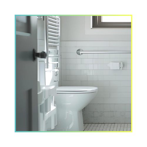 Toilet Cleaning